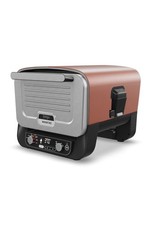 Ninja Woodfire Electric