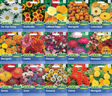 Flower Seeds UK by Country Value for Pots Garden Patio Perennials Annuals