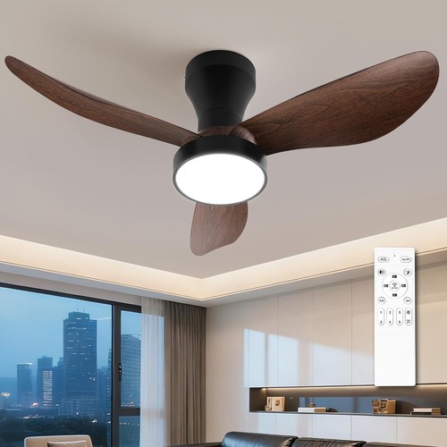 Ceiling fan light black - fan,