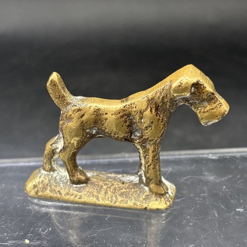 Airedale miniature dog - airedale,