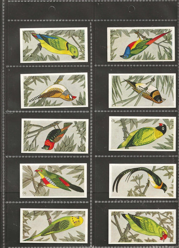 Barratt trade cards - barratt, and