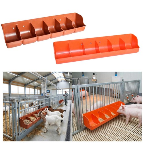 Piglet feed trough goat feeder - feed,