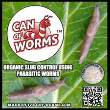 Slug Lure with Beneficial