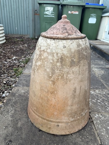 Antique terracotta rhubarb - antique,