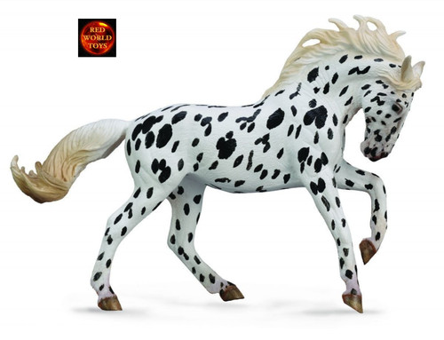 Knabstrupper black leopard - knabstrupper,