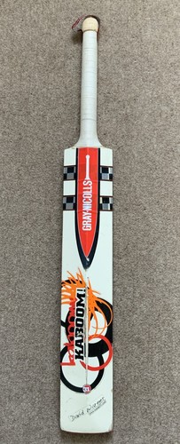 Gray nicolls kaboom - gray,
