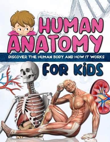 Human anatomy for kids - anatomy,