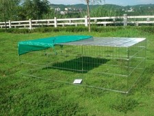Rabbit guinea pig chicken duck - rabbit,