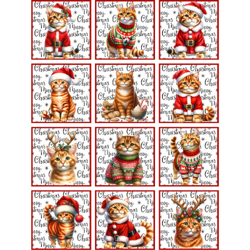 Ginger cat christmas - ginger,