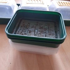 Vented Propagator Seed Tray Set Cover Lid 22cm 38cm Solid Rigid Gravel Tray