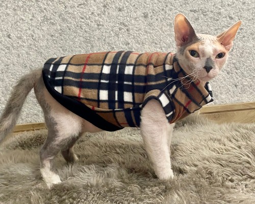 Sphynx cat clothes - ,,