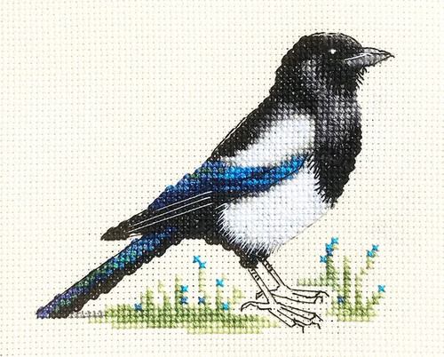 Magpie bird counted cross - magpie,,