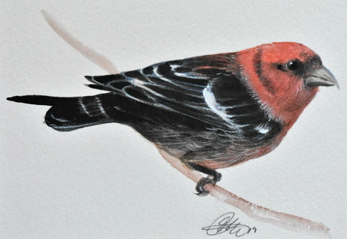 Original watercolour painting - original,