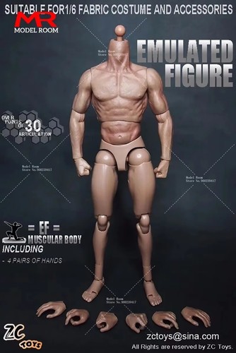 Scale male muscle - scale,