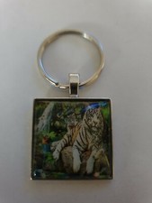 TIGER MUM AND YOUNG CUBS