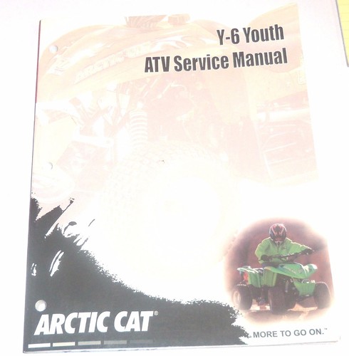 Artic cat 2000 - cat,