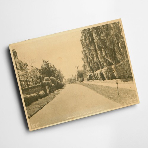 Print vintage kent - -,