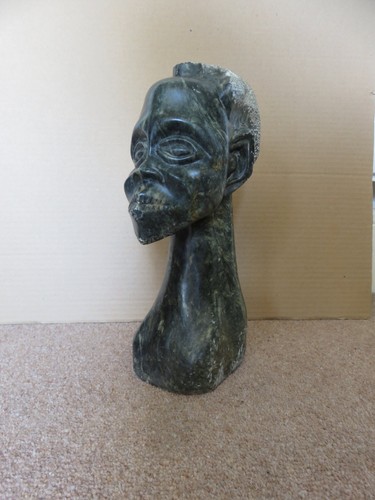 Large 27 cm african - 10.5,