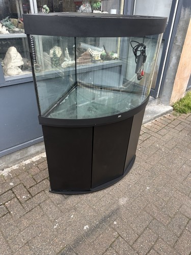 Juwel trigon 190 aquarium - trigon,
