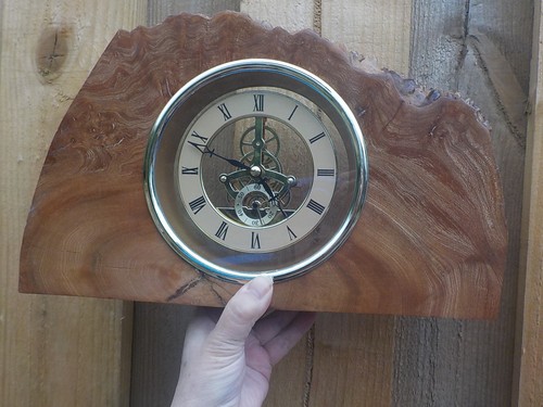 Large stunning burr elm - stunning,