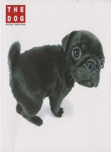 The dog artist - the, collection