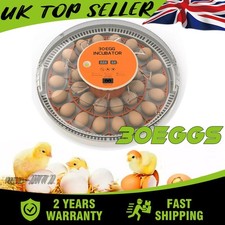 30 Fully automatic home incubator Turning and Humidity Control Eggs 360° View