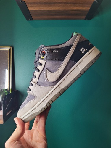 Nike dunk low camcorder - nike, 'camcorder'