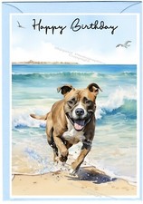Staffordshire Bull Terrier Dog