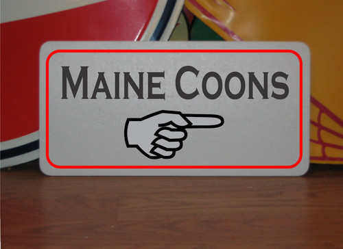 Maine coons arrow - maine, w/