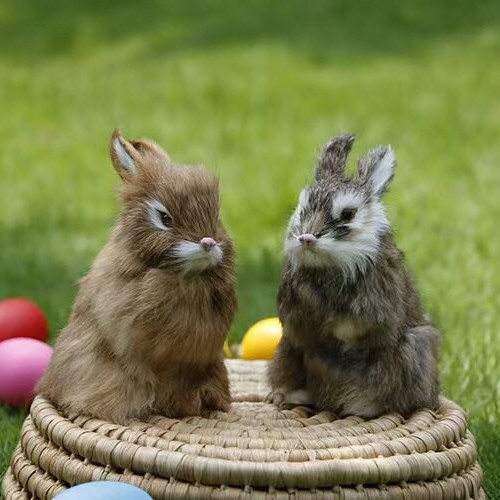 Mini simulation rabbit - mini,