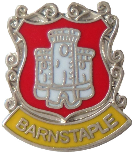 Barnstaple town small pin - town,