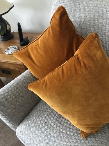 Velvet cushions - velvet,