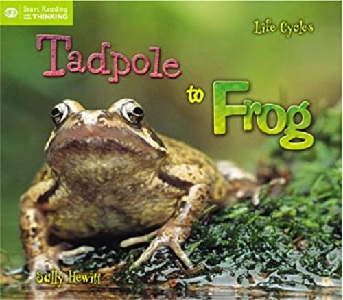 Life cycles from tadpole - life,