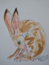 Watercolour painting hare