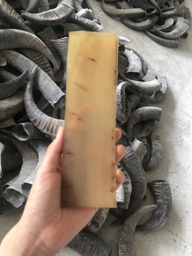 1pc natural buffalo horn - 1pc,