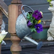 Galvanised watering can - galvanised,