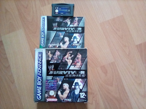 Wwe survivor series - wwe, boy