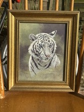 🐅 Limited Edition Tiger
