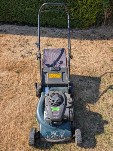 Hayter osprey rotary mower - hayter,
