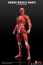 1/12 Keepgoing Studio Human