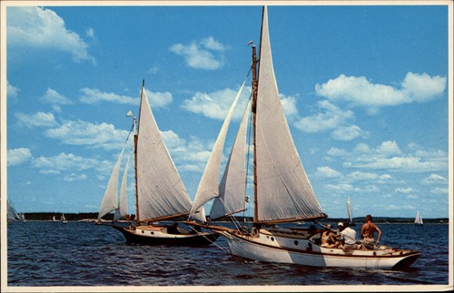 Sloop racing maine coastline - sloop,