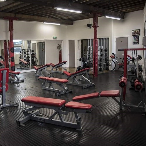 Pro heavy duty large - 1,