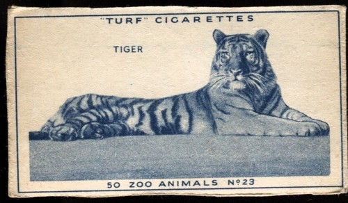 Tobacco card carreras turf - card,, carreras,