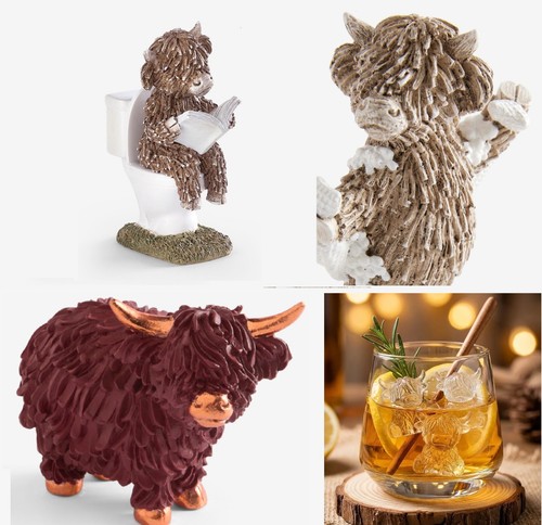 Next hamish the - the, cow
