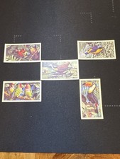 Brooke Bond Tea Tropical Birds