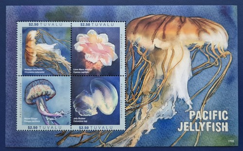 Tuvalu 2017 marine life - /,