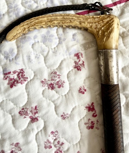 Vintage hunting crop - crop, by