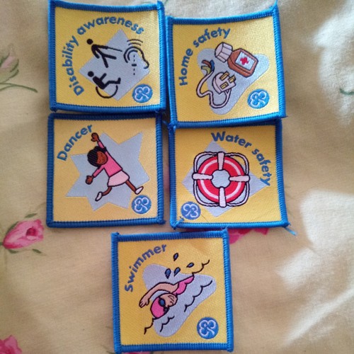 Brownies interest challenge