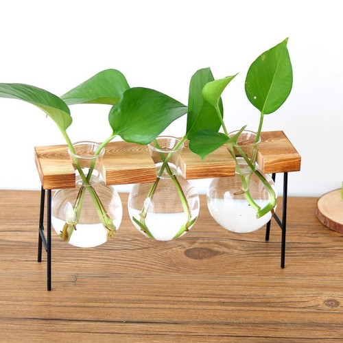 Wooden shelf plant - wooden,