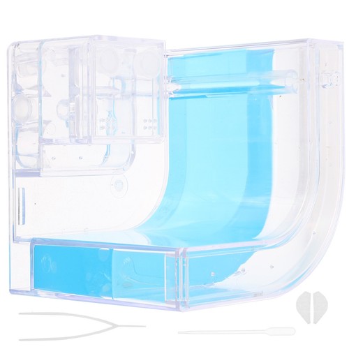 Ants breeding box - breeding,